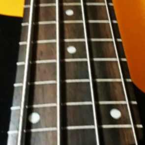 Fretless